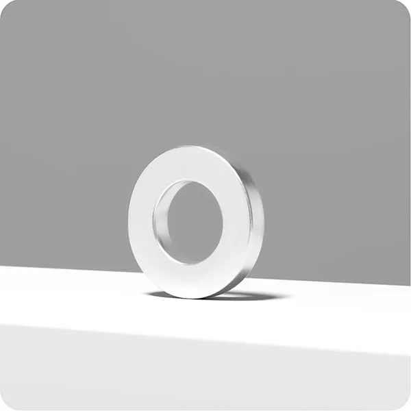 Neodymium Ring Magnet